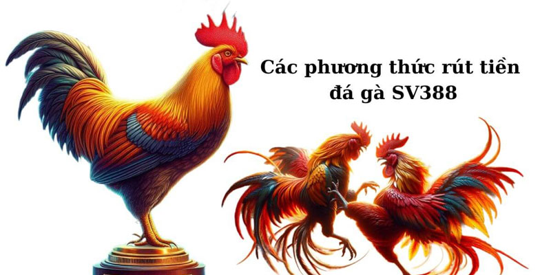 Hướng Dẫn Rút Tiền SV388 Chi Tiết Từ A Đến Z