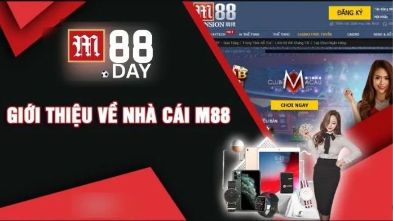 M88 có hợp pháp không? Phân tích mức độ an toàn và rủi ro